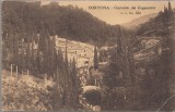 Cortona postcard: Cortona Convento dei Cappuccini