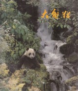 Xin Jiguang: The Giant Panda