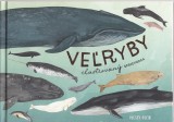 Oseid Kelsey: Veľryby ilustrovaný sprievodca