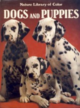 : Dogs and puppies