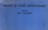 Sargent Eric: What Is That Aeroplane?