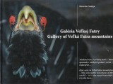 Saniga Miroslav: Galria Vekej Fatry. Gallery of Vek Fatra mountains
