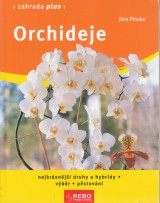 Pinske Jrn: Orchideje