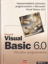 : Microsoft Visual Basic 6.0. Pruka programtora