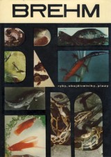 Brehm Alfred Edmund: ivot zvierat 2.Ryby, obojivelnky, plazy