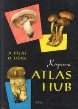 Pilt Albert, Uk Otto: Kapesn atlas hub